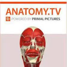 پایگاه Primal Picture