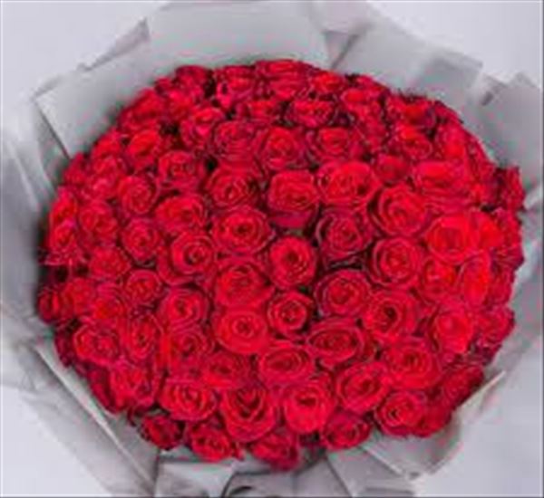 پیام تبریک هفته کتاب، کتاب خوانی و کتابدار